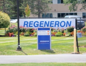 Препарат фазинумаб (fasinumab) компании Regeneron продемонстрировал эффективность в снижении боли у пациентов с остеоартритом тазобедренного или коленного сустава